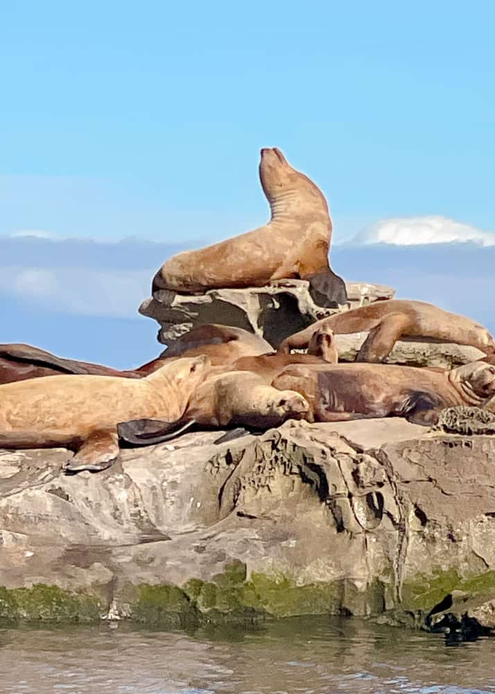 Nanaimo Quoi voir faire 12