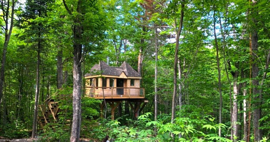 Gite dans un arbre, au coeur de la nature